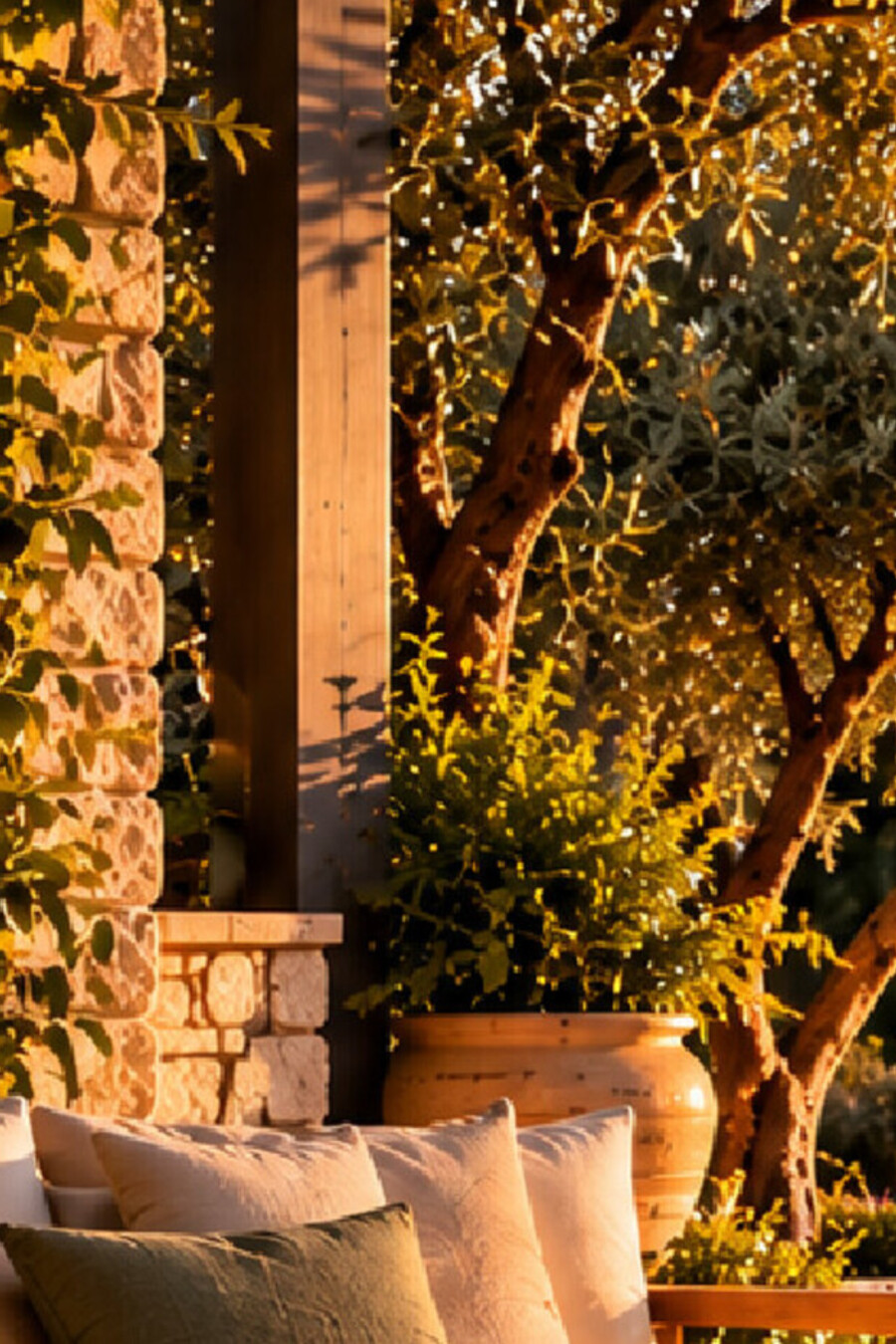 Havadan görünüm, modern villa ve bahçesi